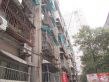 向韶村实景图