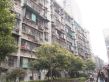 向韶村实景图