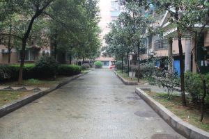 富湘园 3室1厅 南 北
