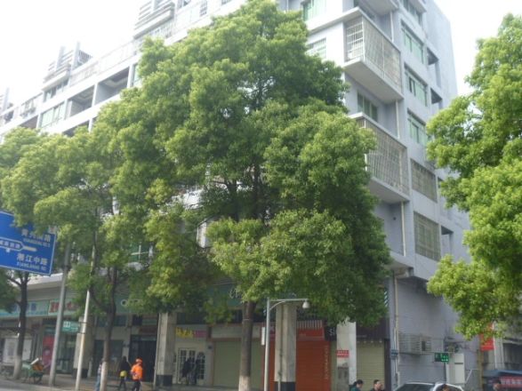 安基添景阁实景图