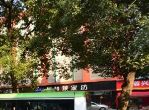 省百纺大院2室1厅南北