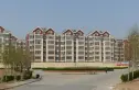绿园小区实景图