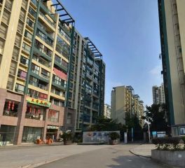 罗兰小镇3室2厅东南