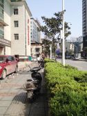 五一广场芙蓉广场复式楼5.2米层高精致民宿装修带租约