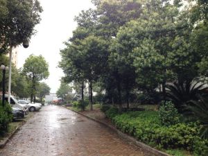 低楼层 精装拎包住 停车免费 带杂物间