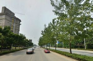 十里彩云间1室1厅东南