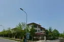 玫瑰花园实景图