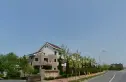 玫瑰花园实景图