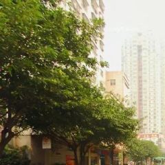 急售大良金桂社区地铁11号线上中层采光好南北通风