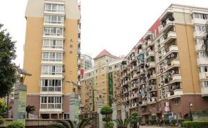 世纪广场 1室1厅 南