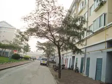 星泰花园,总价低,南北通透,带小棚