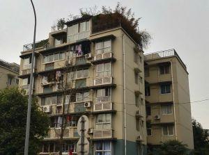 南方半岛花园2室2厅东南