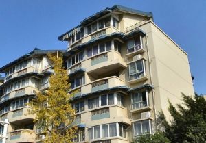 南方半岛花园1室1厅东东南南