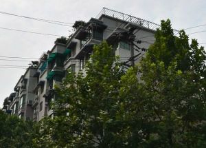 锦西花园三期3室1厅南北