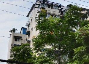金桔花园二期北苑 2室1厅 东南