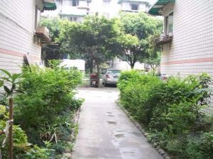 武侯民居3室2厅东南