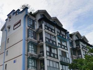 紫桂花园 3室2厅 南 北