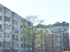 鼎山家园(华北路)2室1厅东西