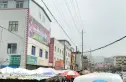 军区绿色蔬菜基地实景图