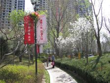 合生滨江帝景二期南北不挨马路精装两居