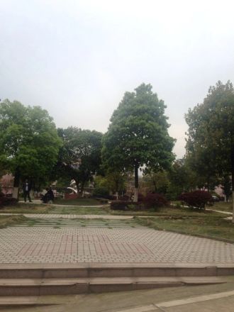 金桂小区实景图