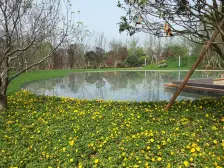 大学城 轻轨站旁实用一室 交通方便 配套齐全