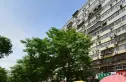 新颜西里实景图