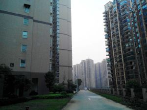 水映青山园3室2厅南