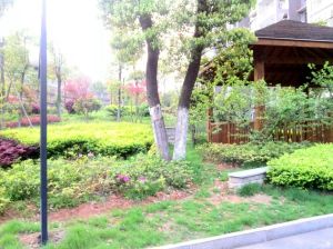 天济山庄4室2厅南北