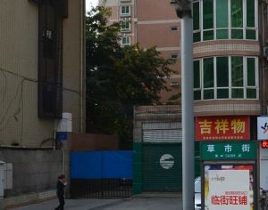 盛畅园 2室1厅 南