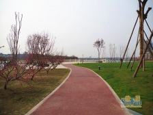 置信丽岛 3室2厅 南