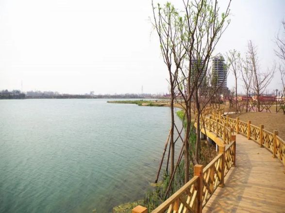 置信丽岛实景图