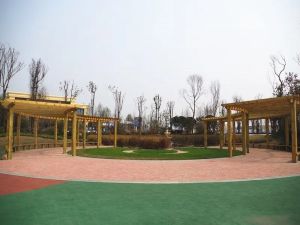 置信丽岛4室1厅南