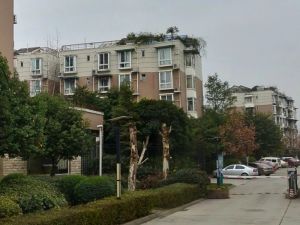 天地晨光丽景3室2厅东南
