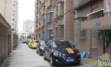翠柏东巷实景图
