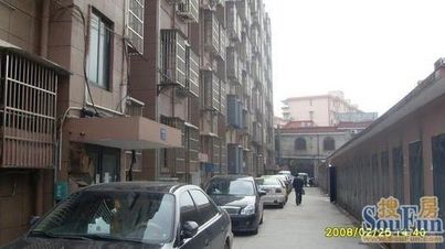 翠柏东巷实景图