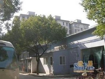 翠柏东巷实景图