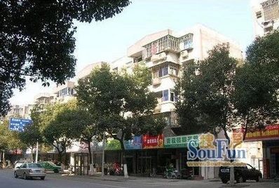 翠柏东巷实景图