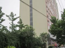 新华植物园近,金江大厦,户型方正,东向,方便看