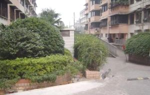 自住精装修可以拎包入住桂花公园,阿弥岭地铁口