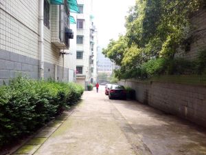 枫林路地铁2号线汽车西站精装修复式楼带露台