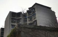 浣花北路26号2室1厅南