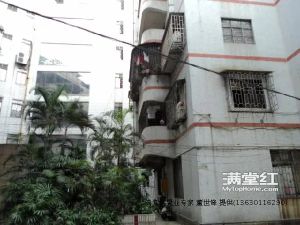 莲华阁 楼梯中层 马仔外墙 通风采光好
