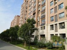 金茂国际大平层246.64平 5室2厅4卫 带一个保姆间