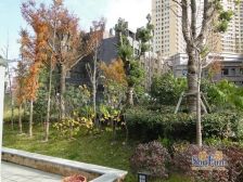 精装修,户型通透 ,采光充足,配有27平车库