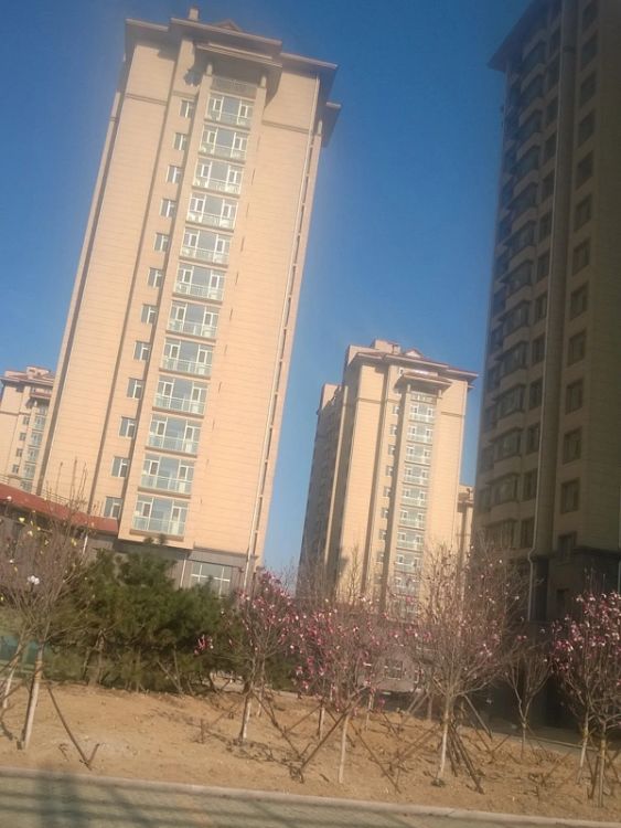 小区相关图