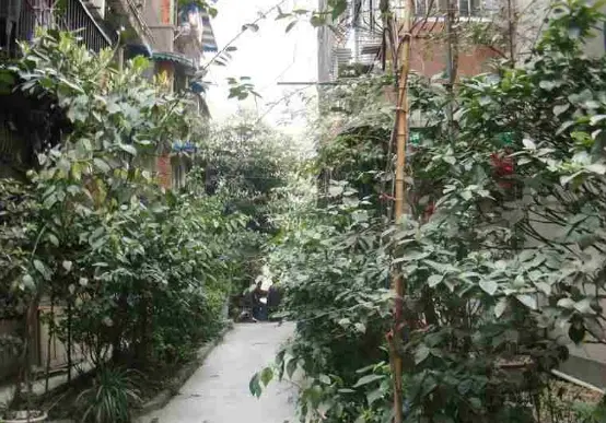 西安中路39号院实景图