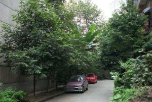 西安中路39号 2室1厅 西南