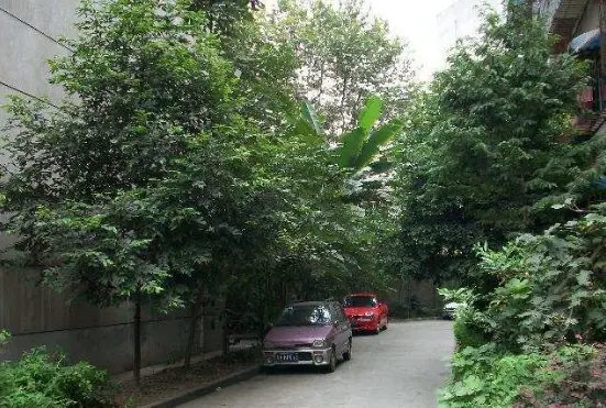 西安中路39号院实景图