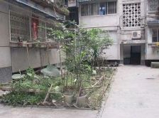 鼓楼北三街80号 3室1厅 南